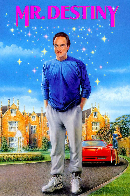 Mr. Destiny (DVD, 1990) w/ Insert Comedy / Fantasy Touchstone OOP *NC1 image 0
